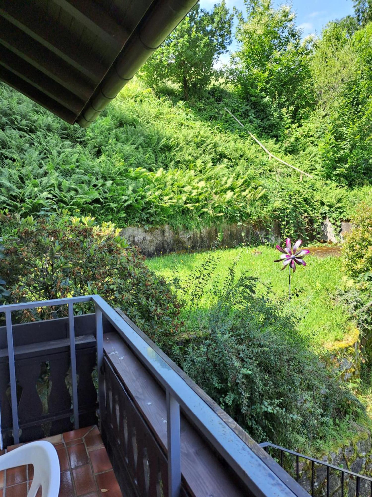 Pension Schlossbergblick Simonswald Luaran gambar